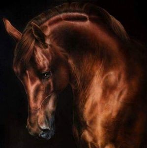 Meet your Posher, Theresa